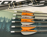 DAY SIX - HD Carbon Arrows FLETCHED 1/2 doz.