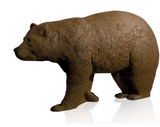 Delta McKenzie - Walking Bear