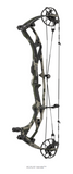 Hoyt - Carbon RX-10 Ultra