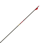 GOLD TIP - Hunter Arrows 1 doz (2" HP Vanes)